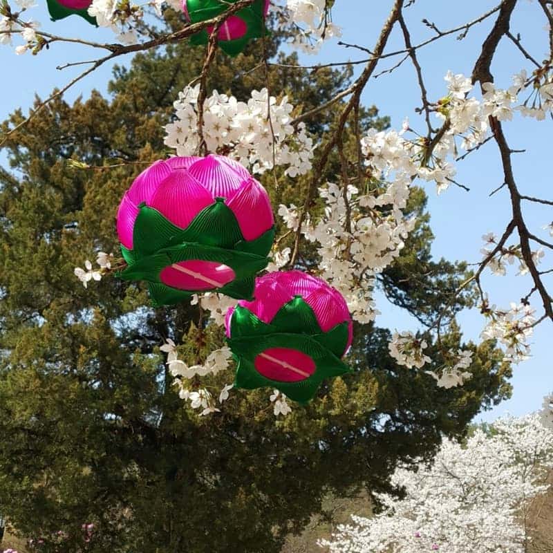 [공주/당일] 백제의 고도 웅진 사진 1