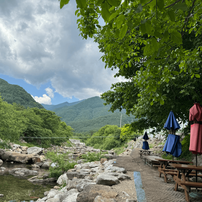 [거창/당일]수승대&빙기실마을 계곡에서 즐기는 피서여행🏝️ 수승대관광+백숙+깡통열차+족욕 사진 2