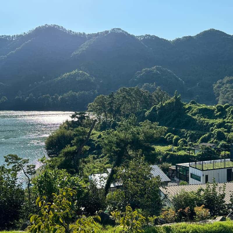 [옥천] 대청호 방아실 농부의 하루 사진 4