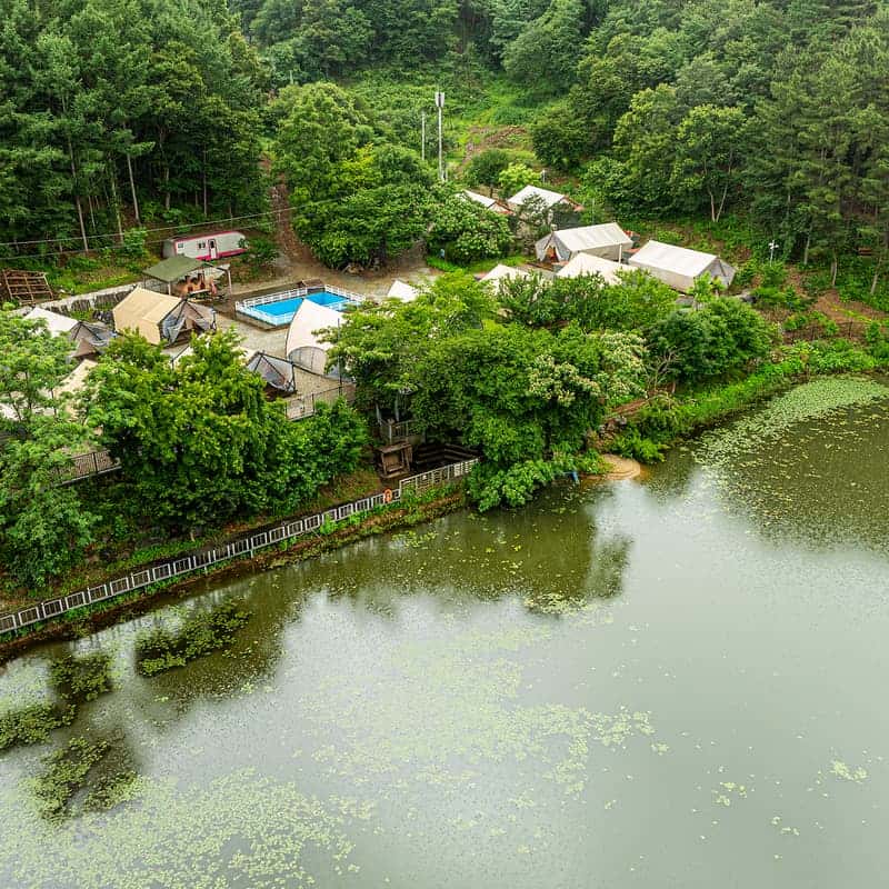 [부여] 판앤팜치유정원 깊숙히  1박2일 럭셔리 글램핑 사진 1