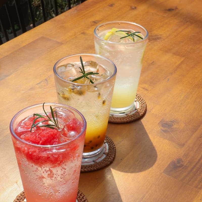 [김제] 초록빛 감성이 가득한 곳, 휘게팜 식물원 사진 8