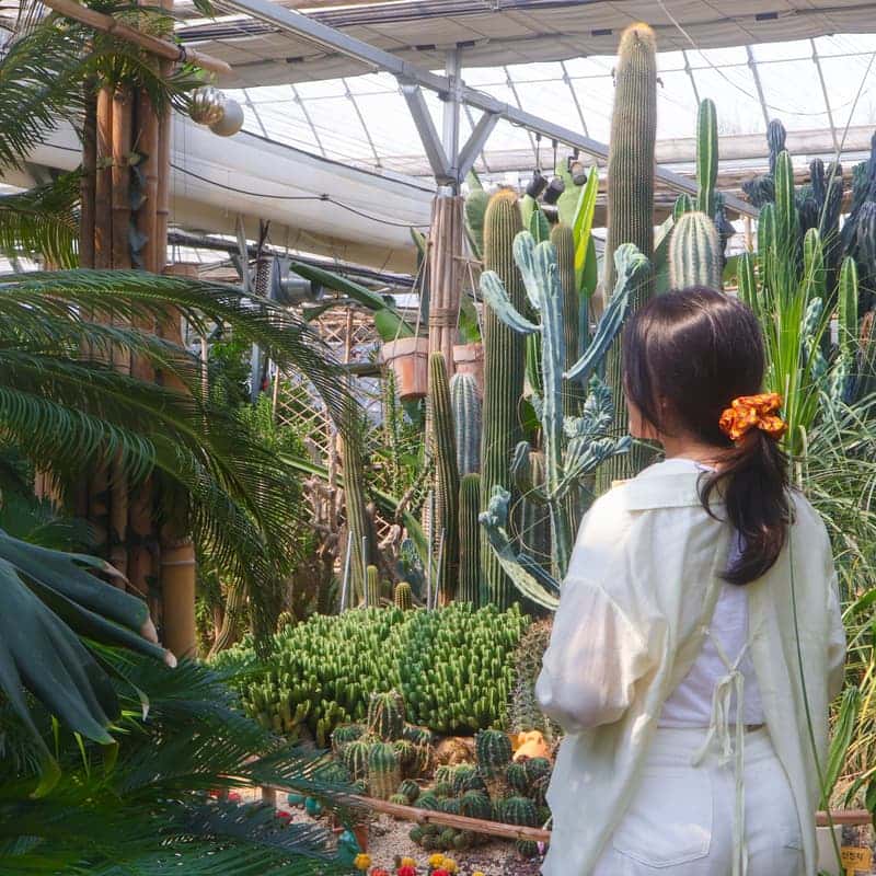 [김제] 초록빛 감성이 가득한 곳, 휘게팜 식물원 사진 3