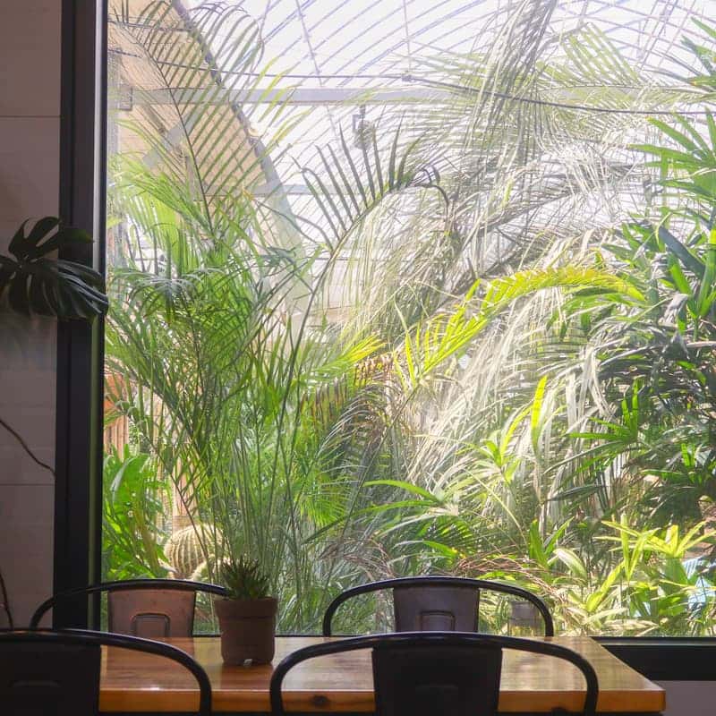 [김제] 초록빛 감성이 가득한 곳, 휘게팜 식물원 사진 4