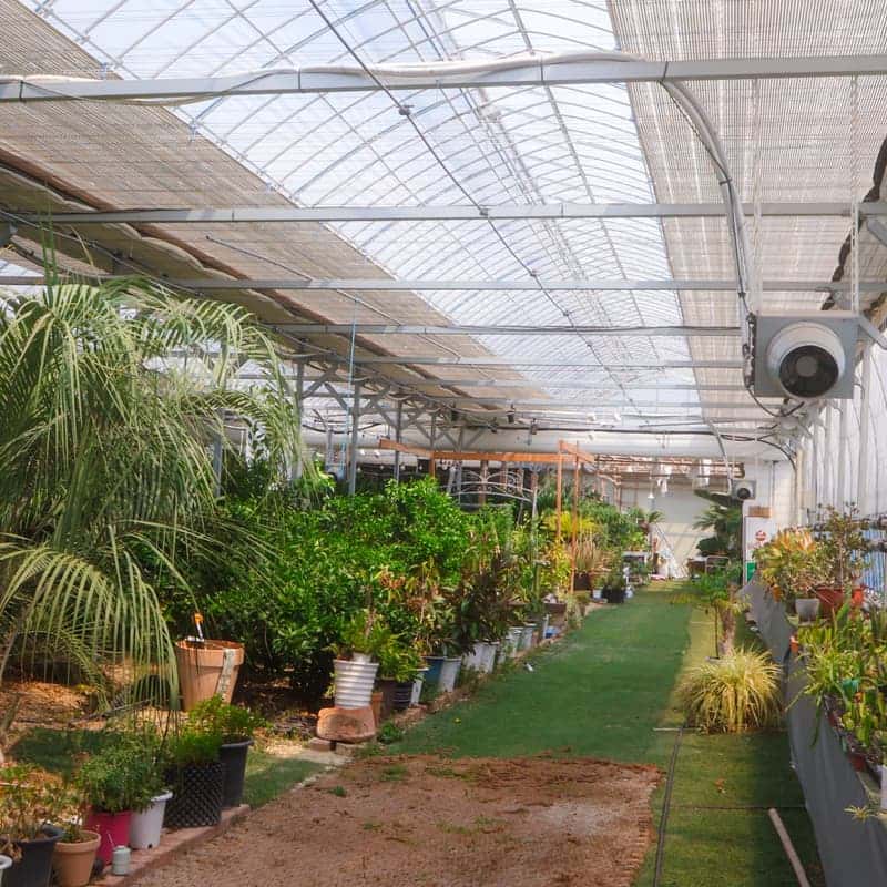 [김제] 초록빛 감성이 가득한 곳, 휘게팜 식물원 사진 5