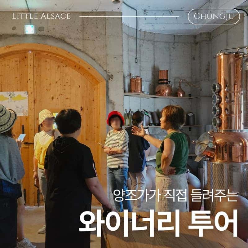 [충주/왕복차량제공] 인생도 와인도 내추럴하게, 작은알자스 와이너리 사진 5