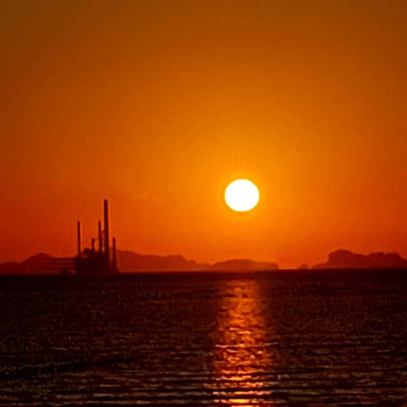 신기어꿈(hola singee) 사진 2