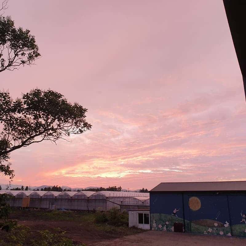 [서귀포/1박] 별빛 아래 쉬어가기 ㅣ 로즈마리바베큐+불멍+별멍 🌟 사진 5