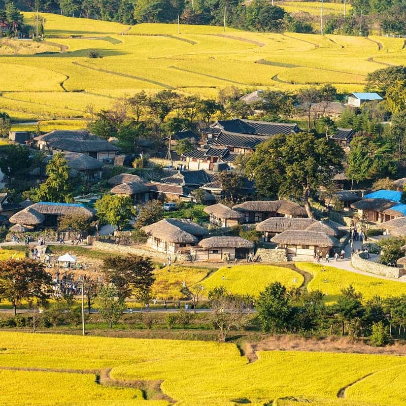 [아산/당일] 아주 멍 때리는 하루(아!멍!하!) 사진 1
