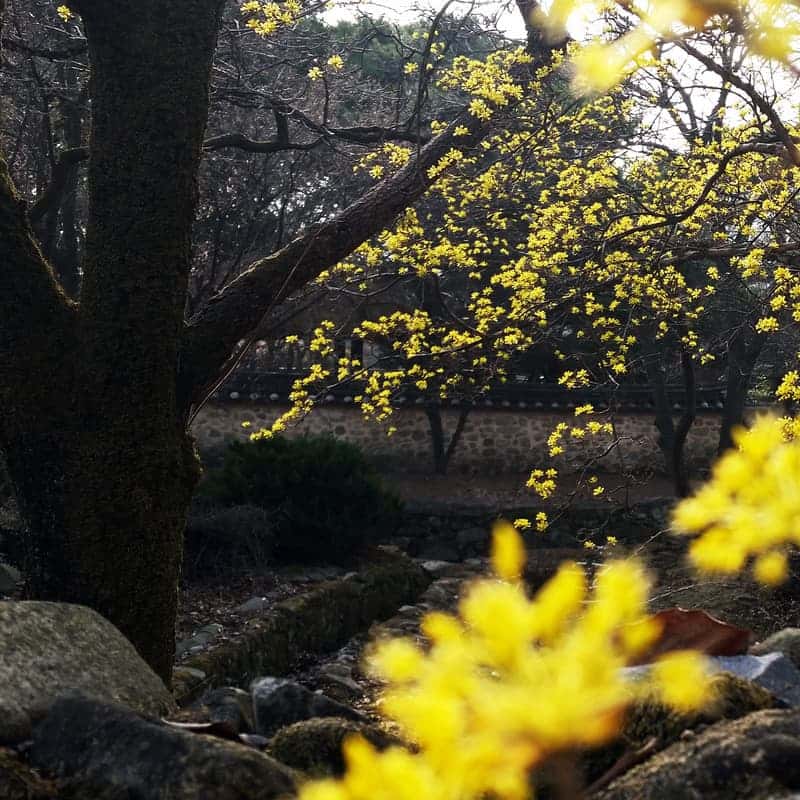 [아산/당일] 아주 멍 때리는 하루(아!멍!하!) 사진 2
