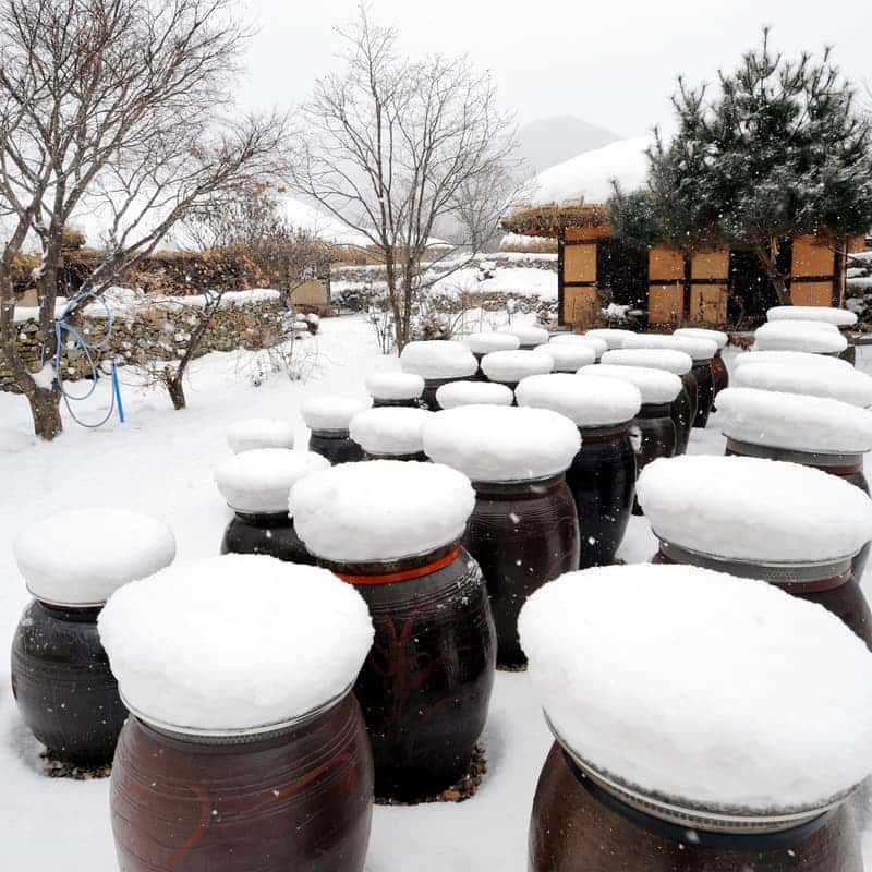 [아산/당일] 아주 멍 때리는 하루(아!멍!하!) 사진 4