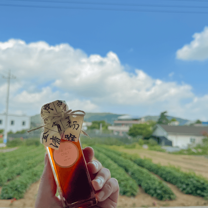 참(眞) 고소한 여행