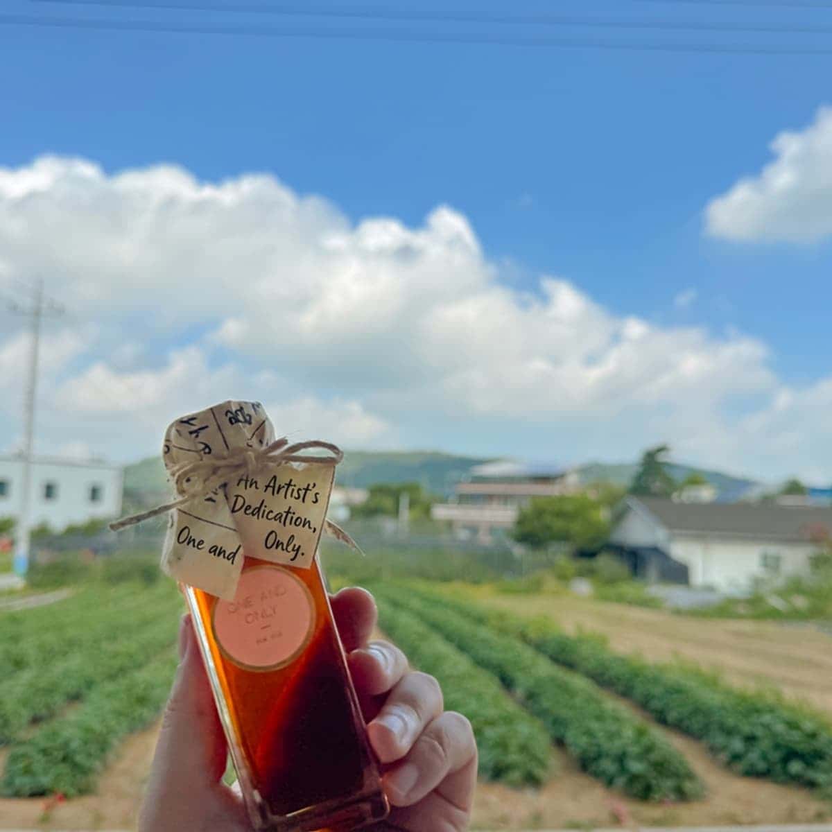 A Truly Savory Journey