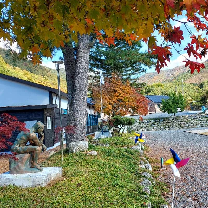 [영월/숙박] 333김장축제 '삼돌이로 살아보기' 🥬 사진 8