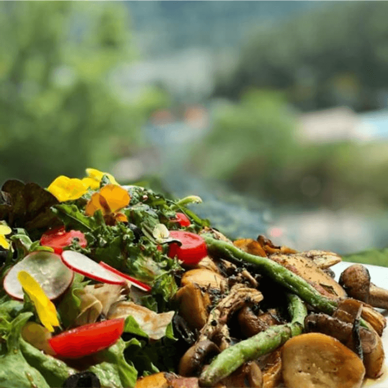 [거창/1박] 자연 속 싱잉볼+요가+차명상+건강식 - 로컬 웰니스 리트릿 🧘🏻‍♀️ 사진 8