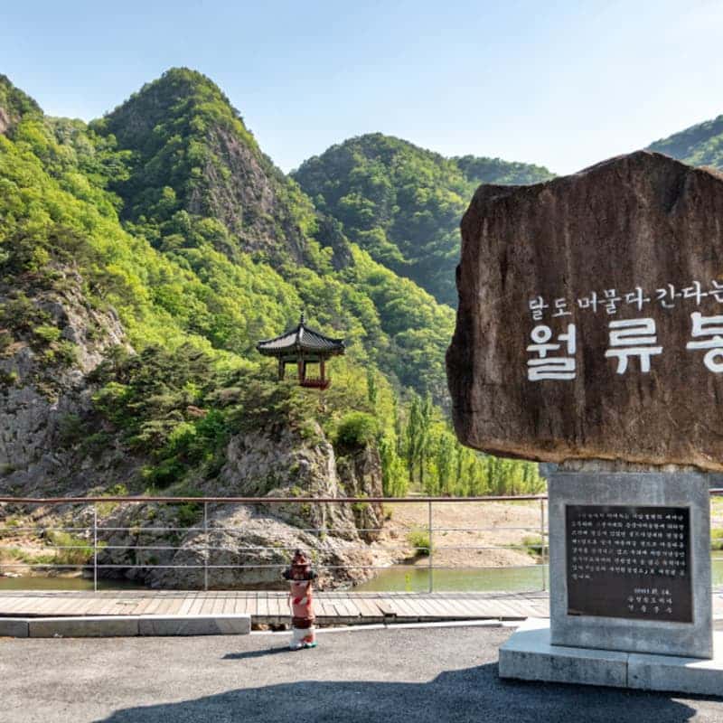 [무주&영동/1박 패키지] 영동세계국악엑스포+월류봉+덕유산국립공원+태권도원 사진 4