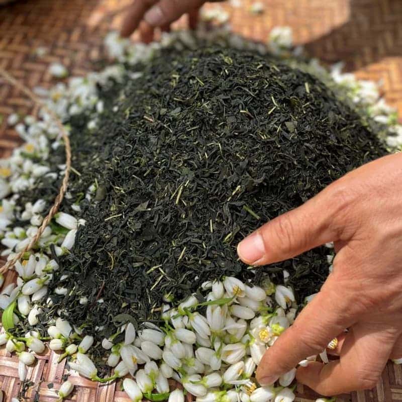 [제주/당일] 제주마와 함께하는 승마체험 + 귤꽃차 체험 🐎🍊 사진 5