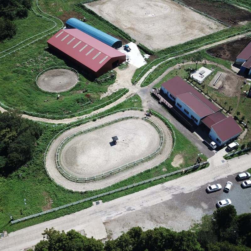 [제주/당일] 제주마와 함께하는 승마체험 + 귤꽃차 체험 🐎🍊 사진 7