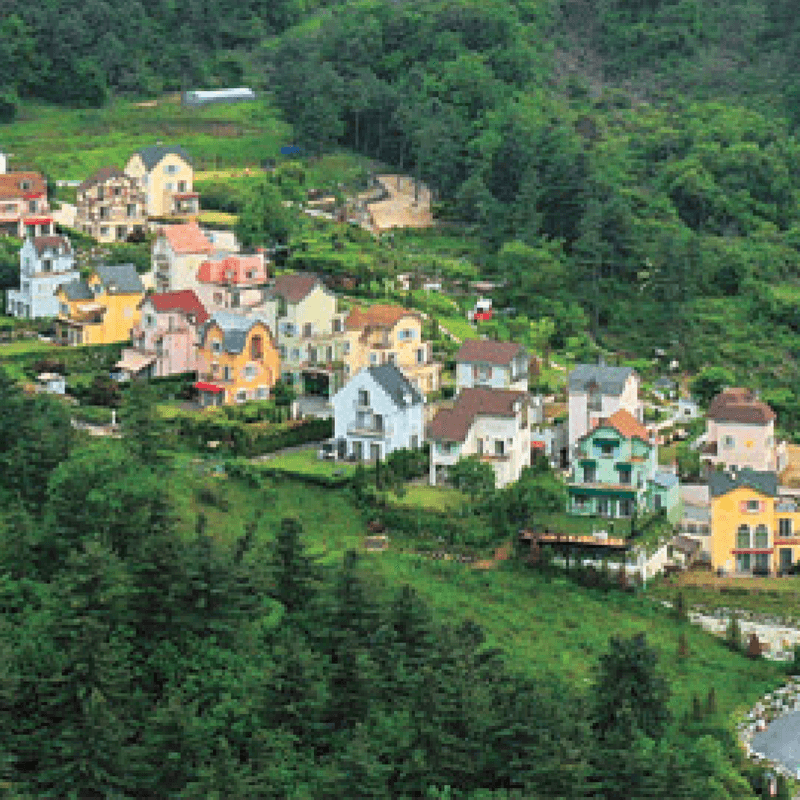 [가평,파주/당일] 가평 양떼목장+에델바이스 스위스파크+콩치노 콩크리트 (아트투어 B코스) 사진 3