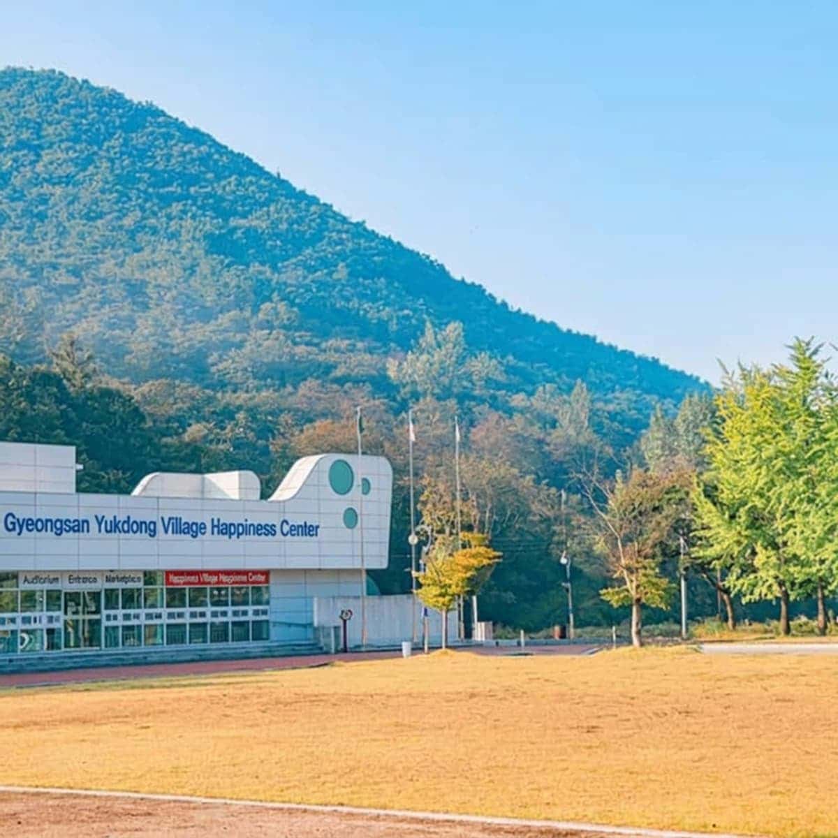 [Gyeongsan] Exceptionally Fragrant Yukdong Minari, Pork Belly, and Foot Bath Healing photo 2