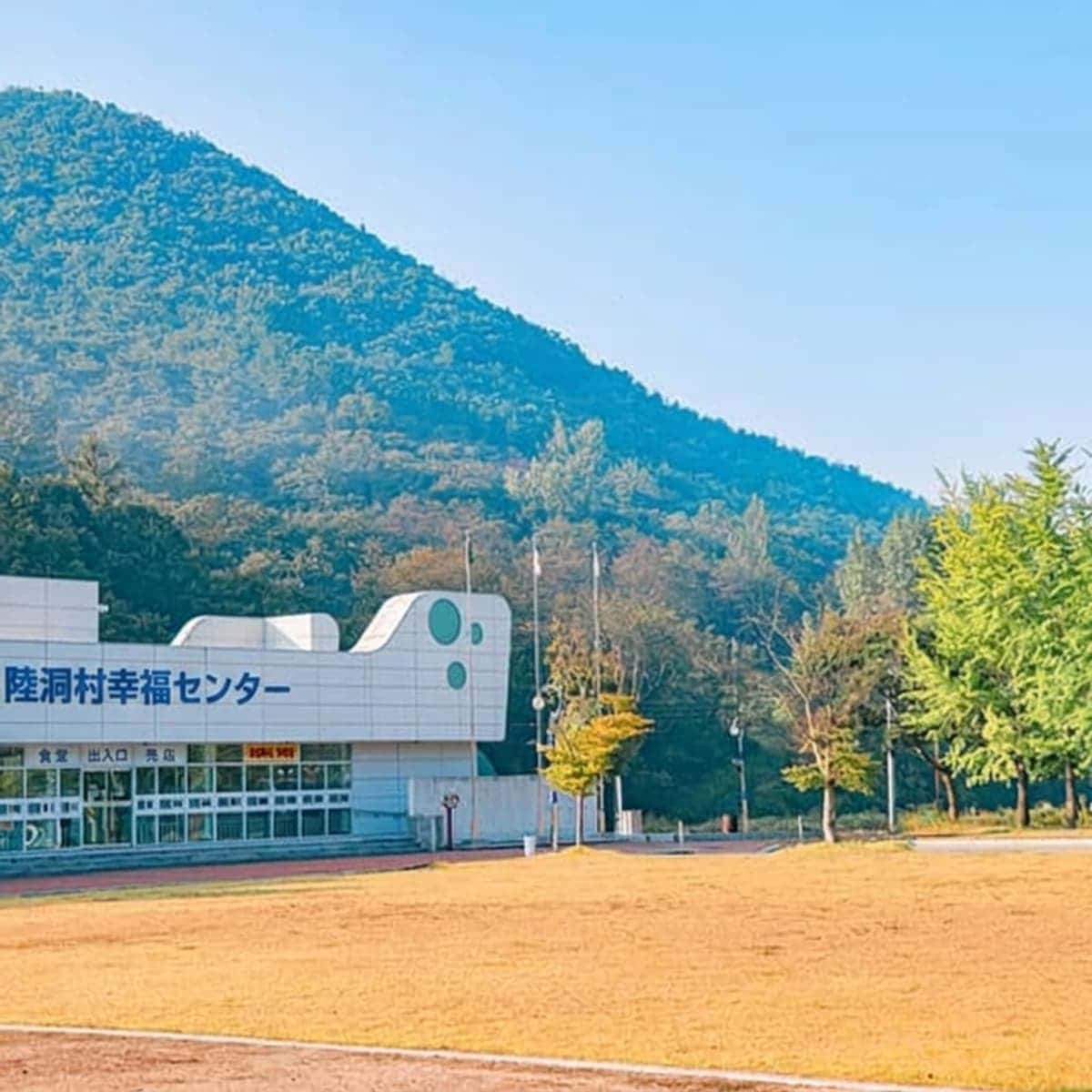 [慶山] 香り際立つユクトンセリのサムギョプサルと足湯ヒーリングの写真2