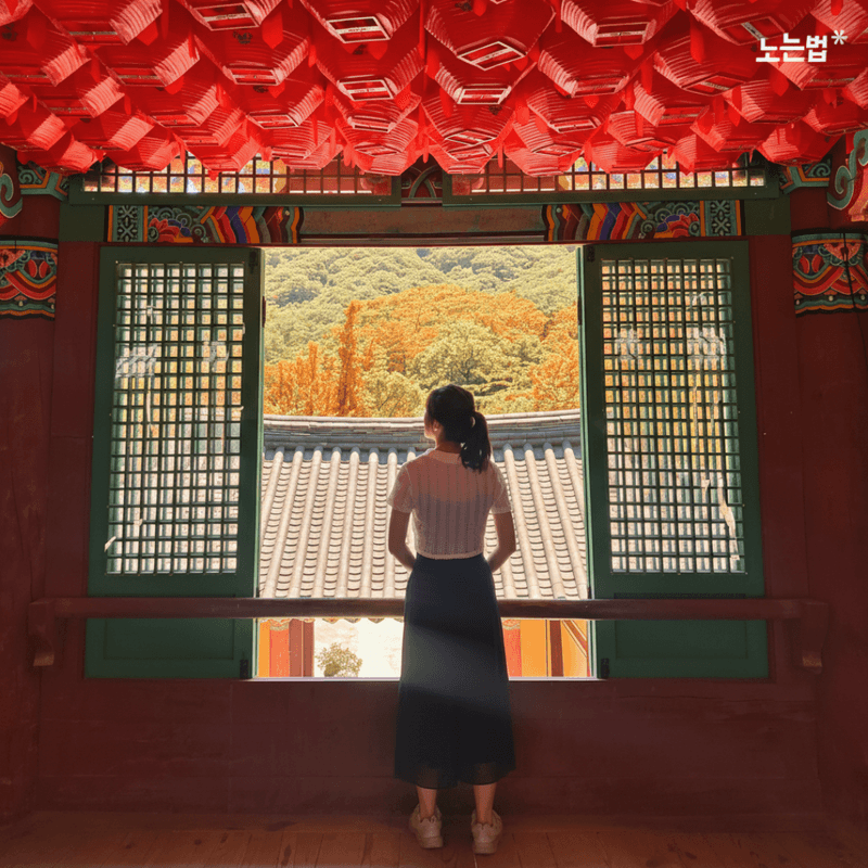 [춘천] 단풍 물든 소양강 따라 - 청량 가을 여행🍁 사진 6