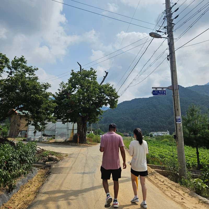 [영월/1박] 삼돌이마을 산골스테이 ㅣ 한반도지형+뗏목체험+팜파티+별멍 ⛰️✨ 사진 6