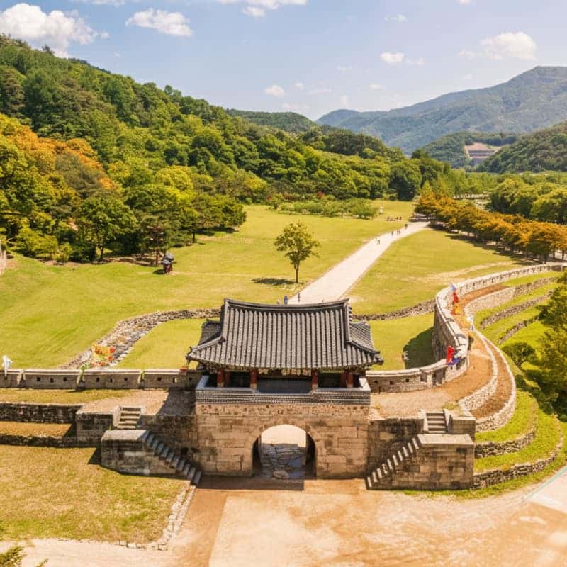 [문경/당일] 개미취 인생샷 명소 + 문경새재 + 봉명산 출렁다리 + 약돌삼겸쌈밥 사진 4