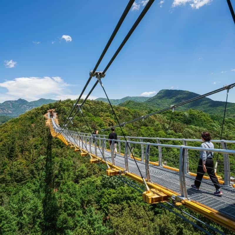 [문경/당일] 개미취 인생샷 명소 + 문경새재 + 봉명산 출렁다리 + 약돌삼겸쌈밥 사진 6