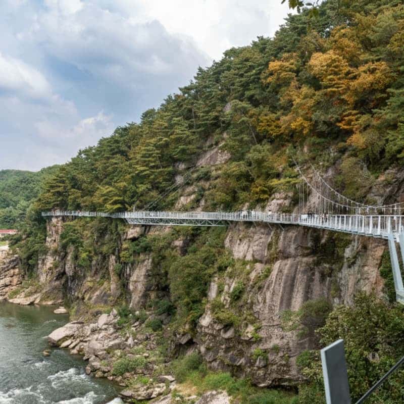 [철원/당일] 고석정 꽃밭+한탄강주상절리길+한탄강Y자출렁다리  사진 4