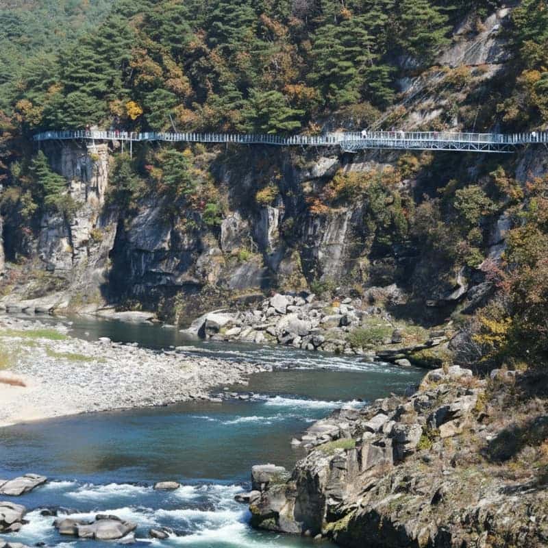 [철원/당일] 고석정 꽃밭+한탄강주상절리길+한탄강Y자출렁다리  사진 5