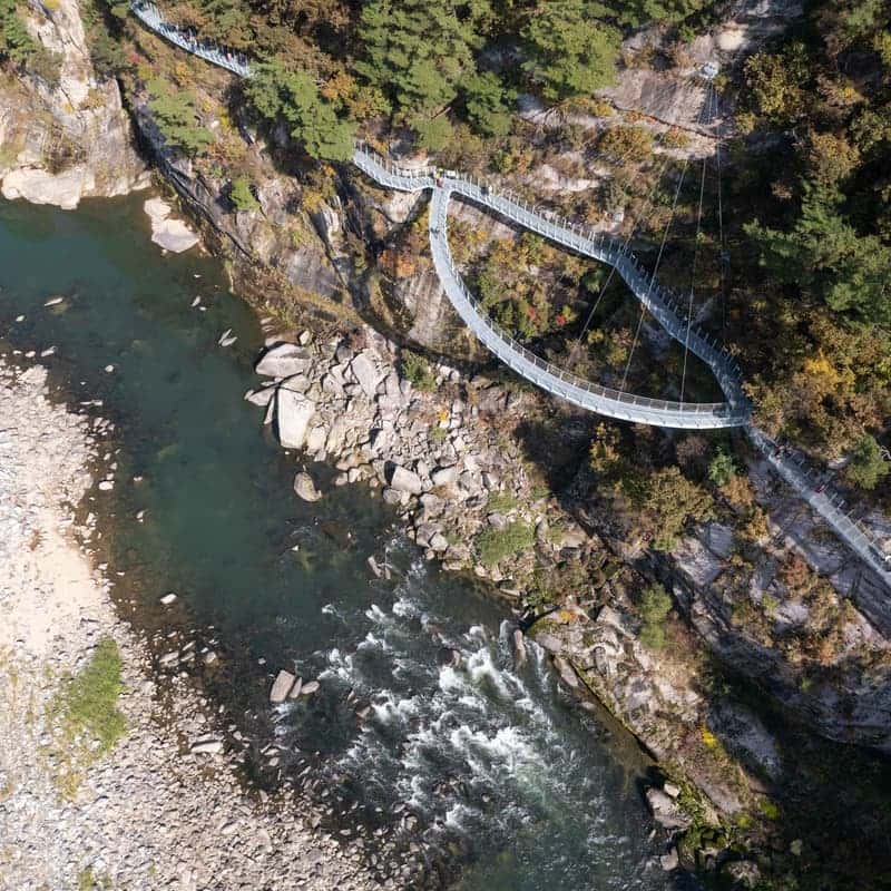 [철원/당일] 고석정 꽃밭+한탄강주상절리길+한탄강Y자출렁다리  사진 6