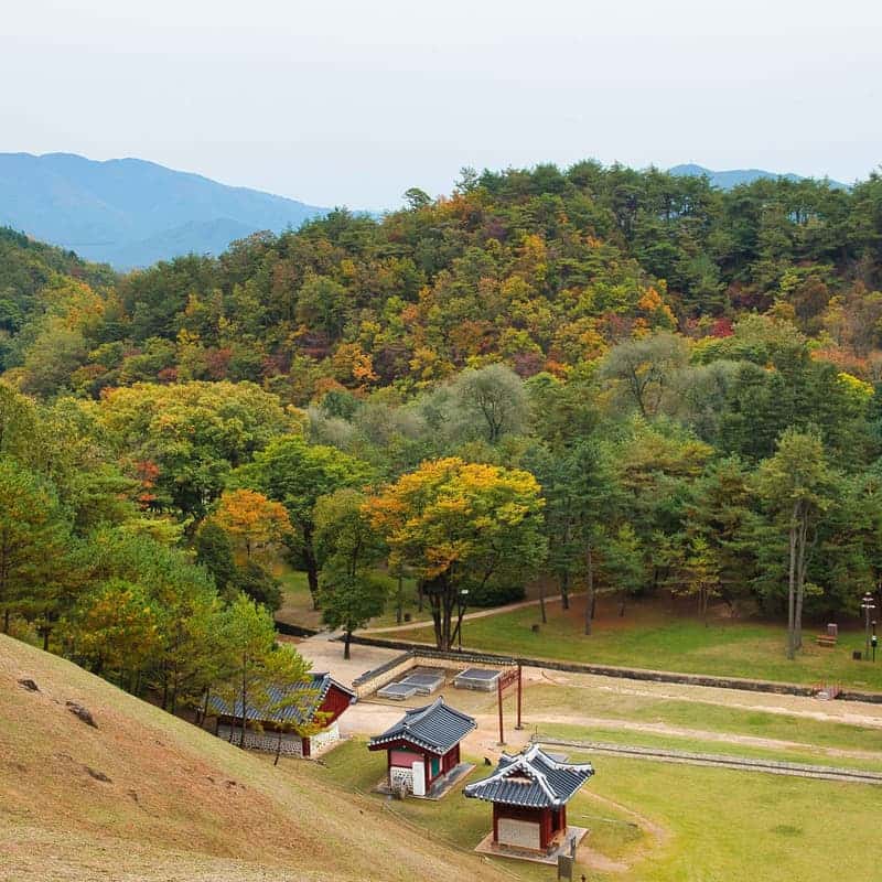 [영월/당일] 붉은 메밀꽃밭+장릉+한반도지형 전망대+보리밥정식 사진 3