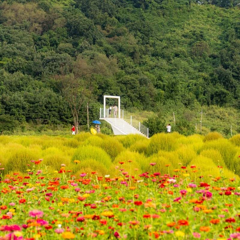 [연천/당일] 댑싸리공원+재인폭포+세라비한옥카페 사진 3