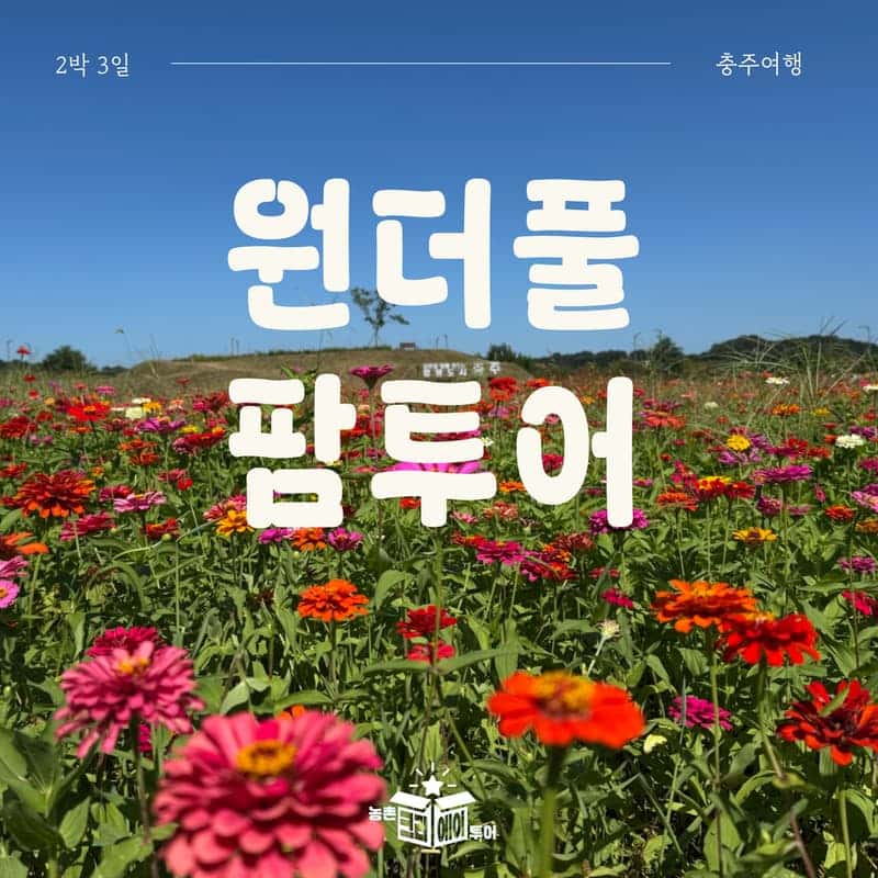 [충주] 원더풀 팜투어 2박3일  사진 1