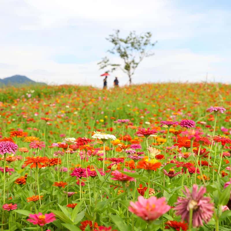 [충주] 원더풀 팜투어 2박3일  사진 2