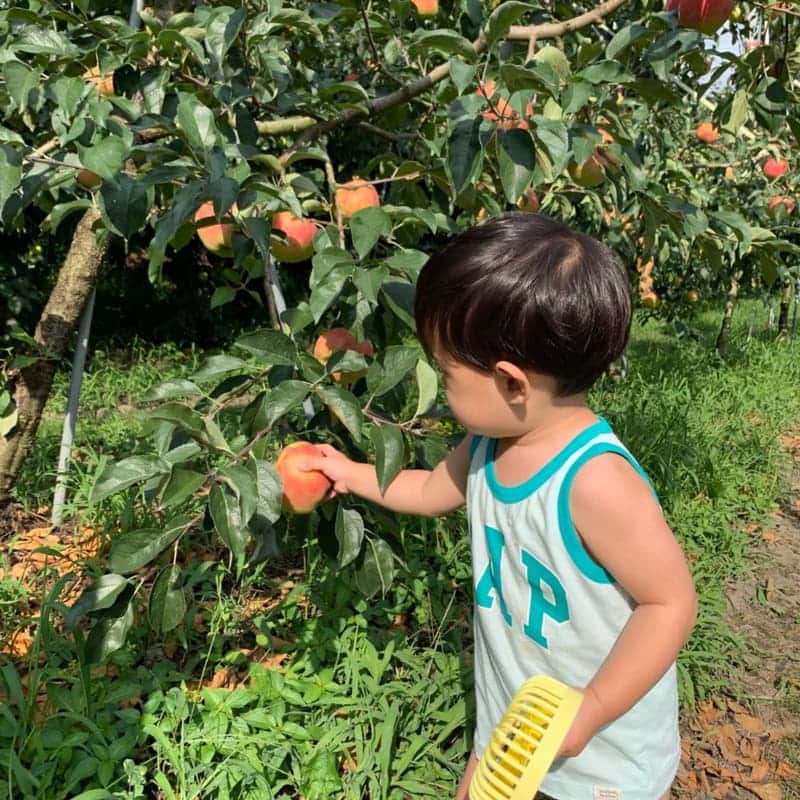 [충주] 원더풀 팜투어 2박3일  사진 3