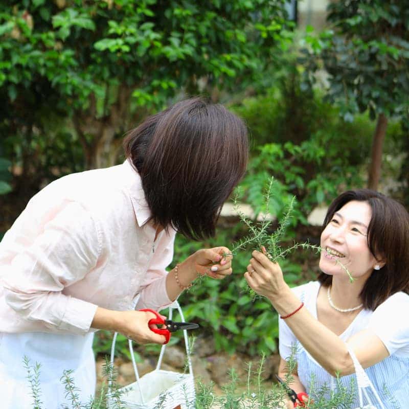 [익산/당일] 플로리움 허브디톡스 테라피 - 식물원 카페 체험 🫖🍃 사진 8