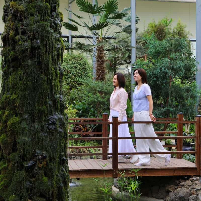 [익산/당일] 플로리움 허브디톡스 테라피 - 식물원 카페 체험 🫖🍃 사진 3