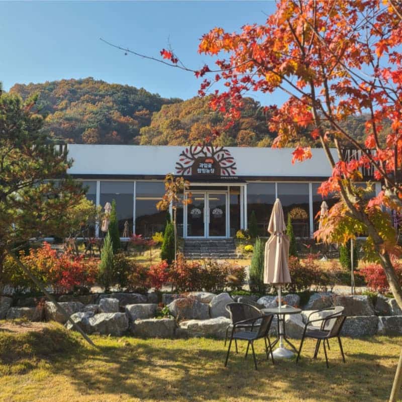 [충주] 충주 파크골프 & 힐링스테이 사진 3