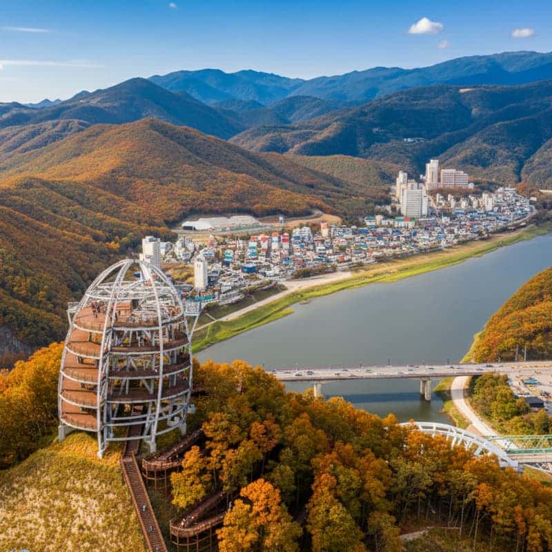 [단양/당일] 만천하스카이워크&잔도길+도담삼봉&유람선+마늘약선정식 사진 1