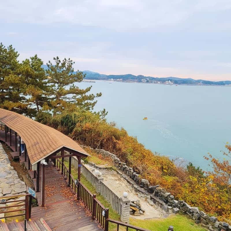 [보령/당일] 죽도 상화원+성주산 자연휴양림+개화예술공원 사진 2