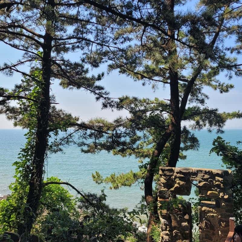 [보령/당일] 죽도 상화원+성주산 자연휴양림+개화예술공원 사진 3