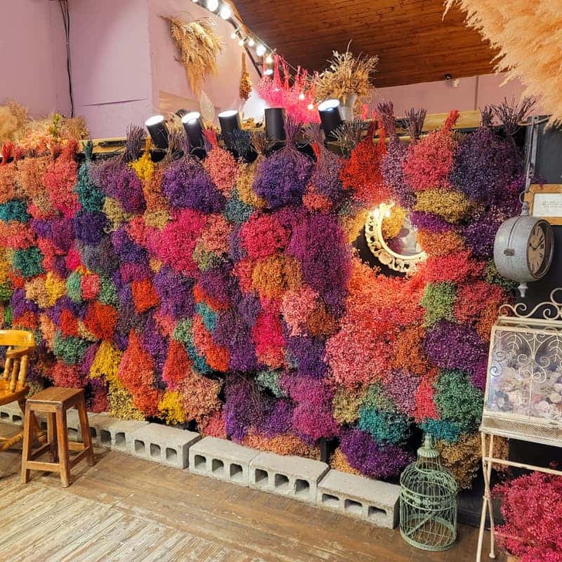 [보령/당일] 죽도 상화원+성주산 자연휴양림+개화예술공원 사진 7