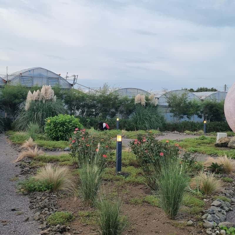 [제주/당일] 제주와 향기를 담은 옥토끼마을 힐링 체험 3종 🐰 사진 7