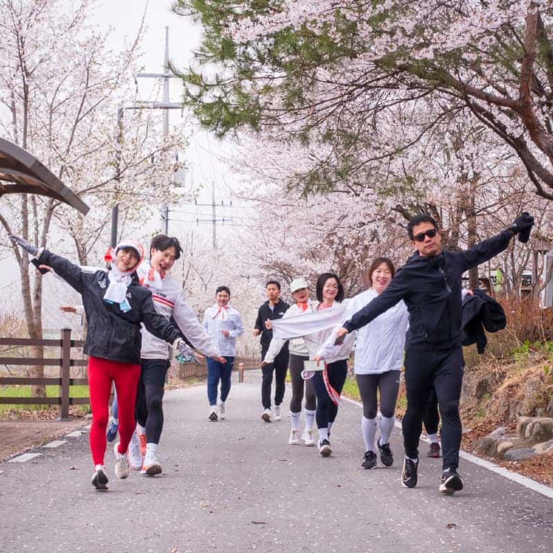 [당일] 춘천마라톤 참가자&응원단 특별패키지 ㅣ 왕복버스&도시락 🏃🏻 🚌 🍱 사진 4