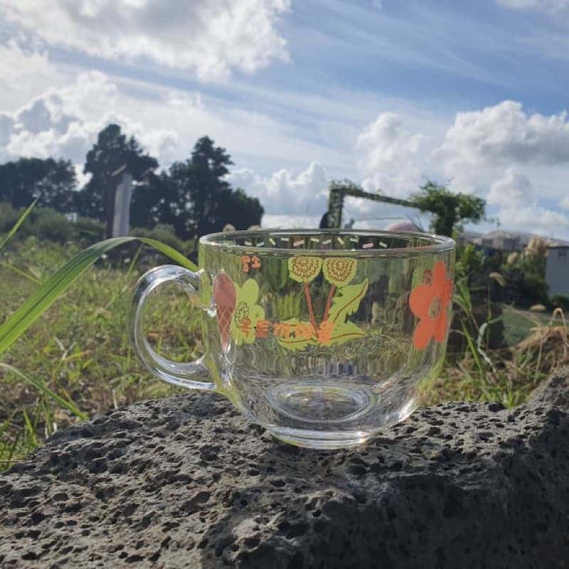 [제주/당일] 제주와 향기를 담은 옥토끼마을 힐링 체험 3종 🐰 사진 2