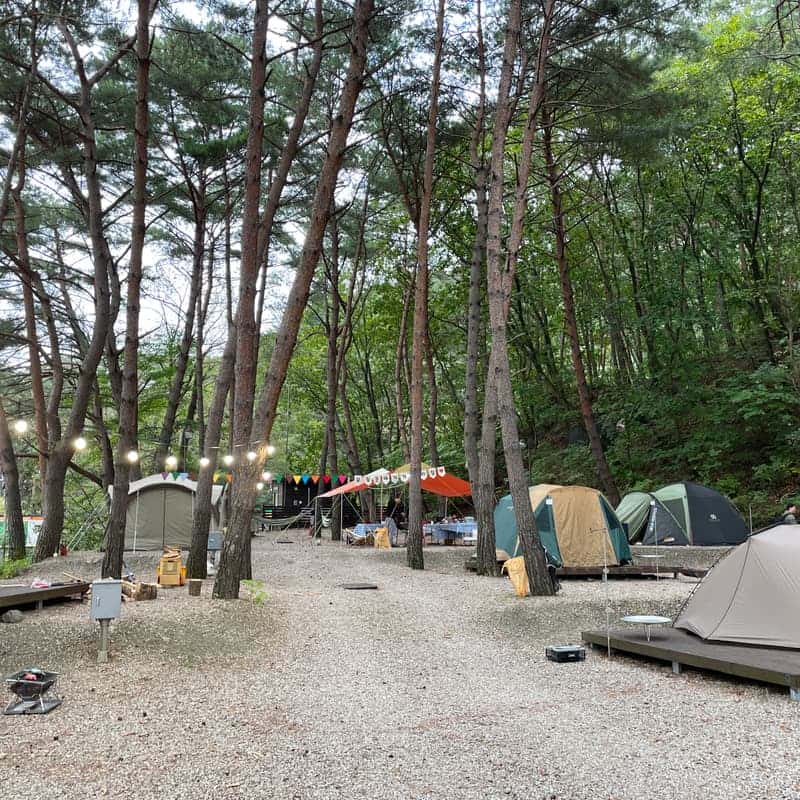 [인제/1박]1박2일 설악산 낭만 캠핑 사진 6