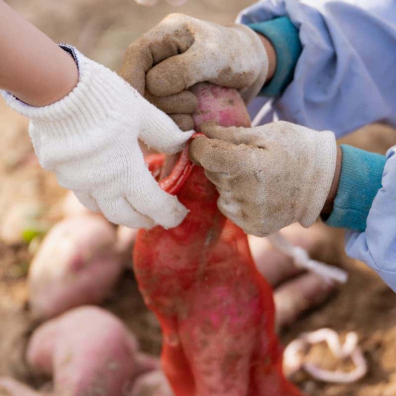[아산/당일] 아휴~ 숨 쉬다   (들숨 날숨으로 괜찮은 하루) 사진 6