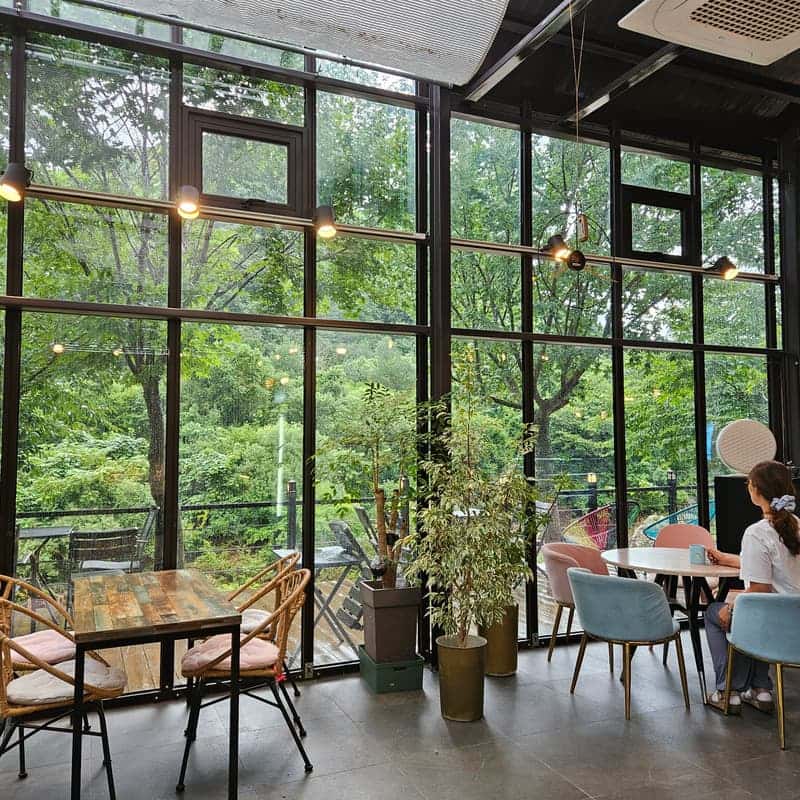 [무주]눈꽃 피자 만들기 체험 유리온실 카페 아메리카노2잔 사진 5