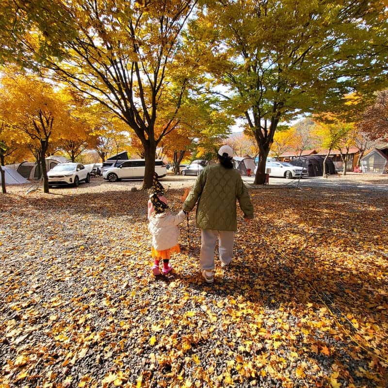 [무주]눈꽃 피자 만들기 체험 유리온실 카페 아메리카노2잔 사진 6